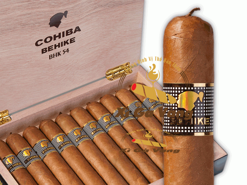 Xì gà Cohiba Behike được phát hành năm 2006